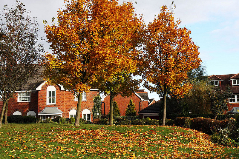 Find Your Dream Home This Autumn